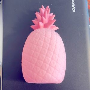 Light up Pineapple Decor